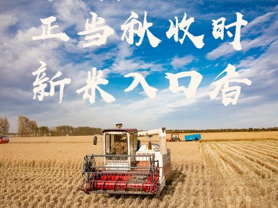 呼伦贝尔大米珍珠米25kg产地销售厂家直销袋装东北大米50斤圆粒米图5