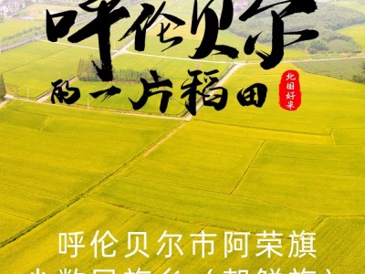 2021新米呼伦贝尔珍珠米圆粒米东北大米50斤25kg产地批发加工定制图5