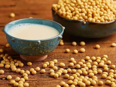 河之韵五谷杂粮黄豆 打豆浆黄豆440g*20包图4