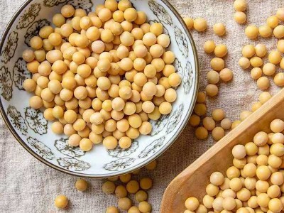 河之韵五谷杂粮黄豆 打豆浆黄豆440g*20包图3