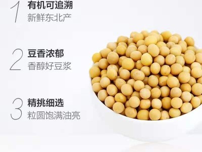 河之韵五谷杂粮黄豆 打豆浆黄豆440g*20包图5