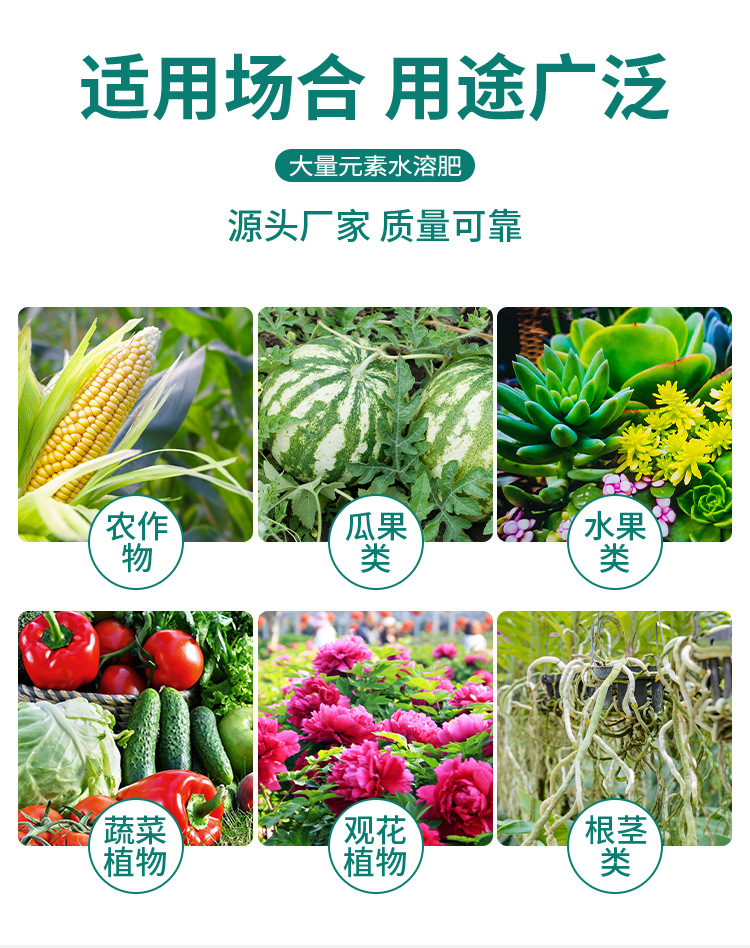 肥料详情_07.jpg