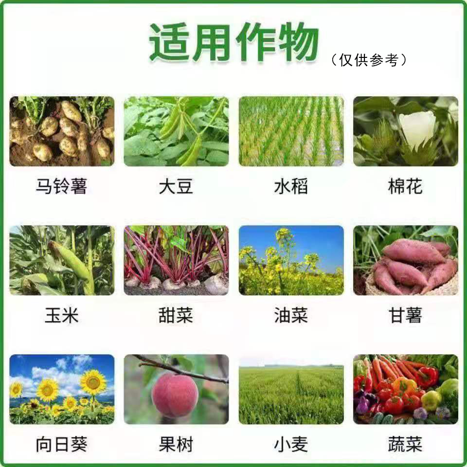 噻虫高氯氟4