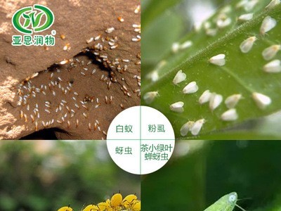 联苯菊酯 2.5% 农药 蚜虫杀螨 茶叶红蜘蛛绿叶蝉等杀虫剂 500克图4