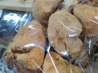 东北大兴安岭猴头干货猴头菇特产图2