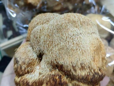 东北大兴安岭猴头干货猴头菇特产图3