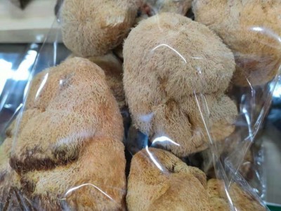 东北大兴安岭猴头干货猴头菇特产图4