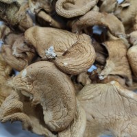 东北大兴安岭特产元蘑精选圆蘑菇香菇干货榛蘑冻菇散装500克