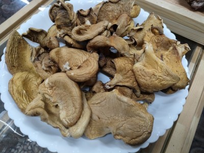 东北大兴安岭特产元蘑精选圆蘑菇香菇干货榛蘑冻菇散装500克图2