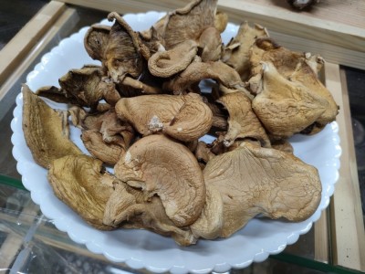 东北大兴安岭特产元蘑精选圆蘑菇香菇干货榛蘑冻菇散装500克图3