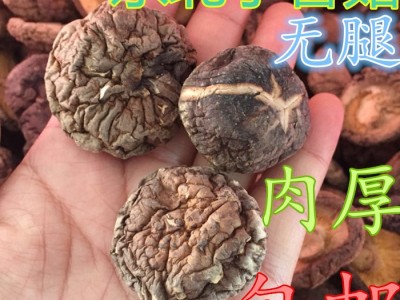 大兴安岭香菇干小花茹特产干货500克图2
