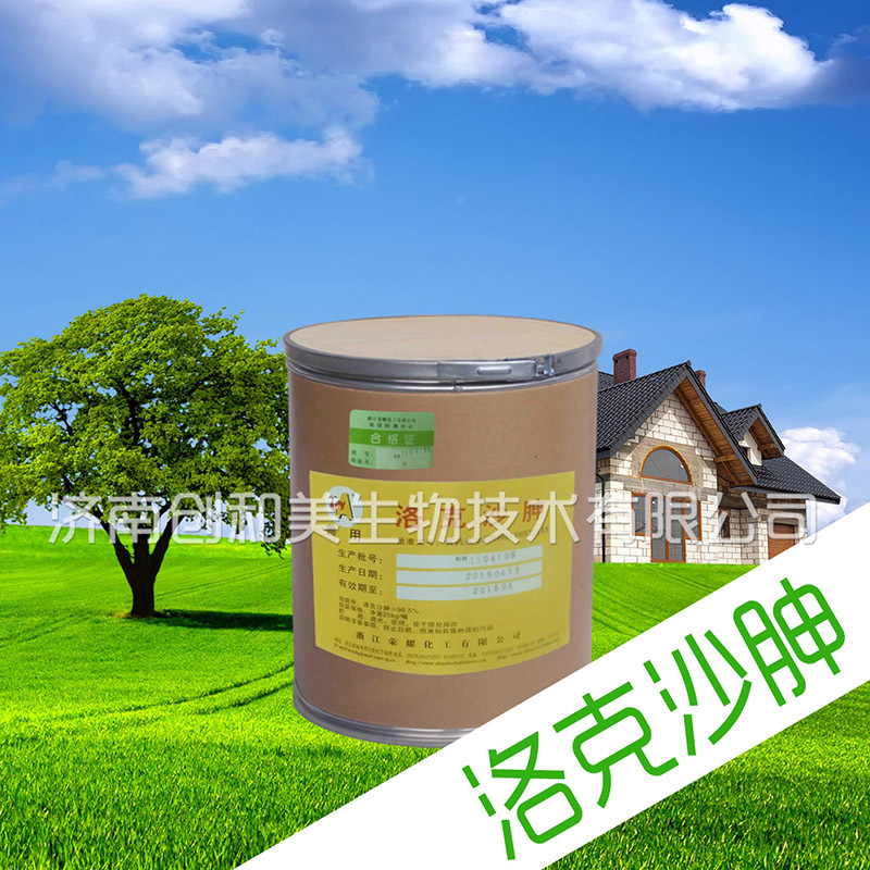 洛克沙胂04