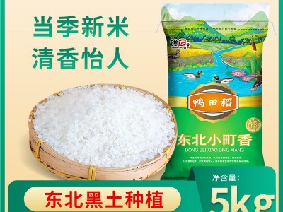 吉林鸭田稻小町香米5kg珍珠米东北大米10斤农家自产圆粒新米批发图2