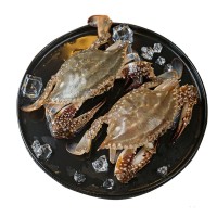 舟山梭子蟹新鲜冷冻螃蟹速冻新鲜海蟹海鲜水产4斤装