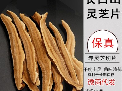 原产地供应灵芝片滋补养生 仿野生长白山紫灵芝切片批发 煲汤泡酒图3