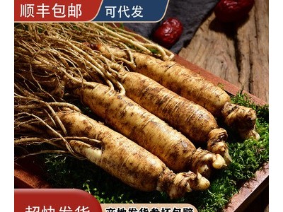 长白山鲜人参吉林带土鲜参东北特产人参煲汤泡酒500g顺丰包邮代发图2