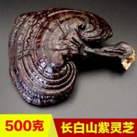 批发长白山紫灵芝 东北泡酒料500g特产养殖灵芝 免费切片代发