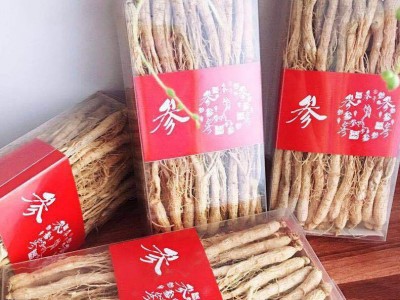 产地货源生晒白参 长白山鲜人参泡酒大补晒干人参东北特产批发图2