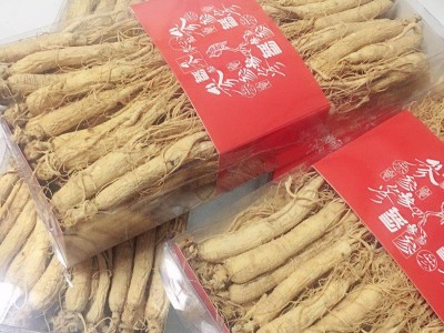 产地货源生晒白参 长白山鲜人参泡酒大补晒干人参东北特产批发图3