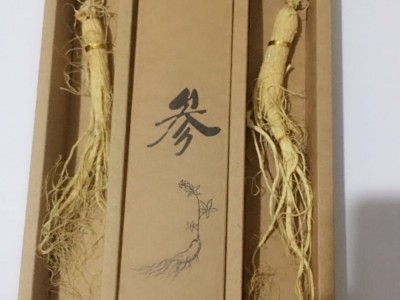 产地货源生晒白参 长白山鲜人参泡酒大补晒干人参东北特产批发图4