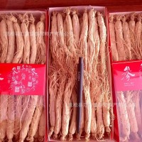 产地直售生晒参整枝干参东北长白山白参炖汤6年根干货40支一斤