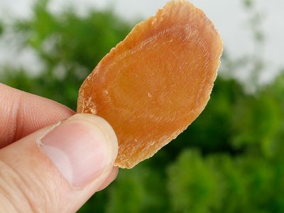 原产地货源六年红参中片250g/罐 长白山红参片人参切片泡茶水图2