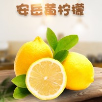 四川安岳黄柠檬1斤皮薄多汁籽奶茶饮品配料新鲜水果非柠檬干片
