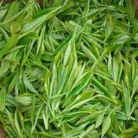 信阳毛尖2021茶叶新茶春茶高山毛尖炒青厂家直销批发散装包邮