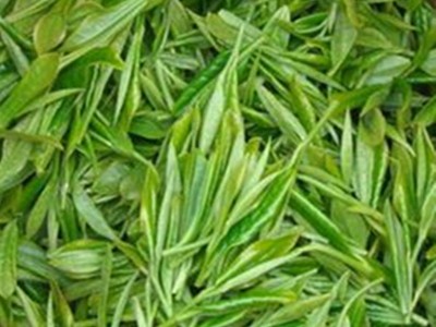 茶叶绿茶信阳毛尖2021春茶绿茶毛尖茶绿茶自产自销125g装包邮图2