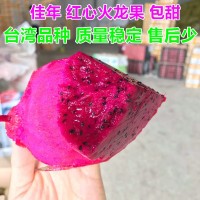 台湾品种佳年软枝红心火龙果新鲜水果非金都火龙果肉厚皮薄包甜