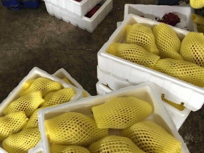 台湾品种佳年软枝红心火龙果新鲜水果非金都火龙果肉厚皮薄包甜图4