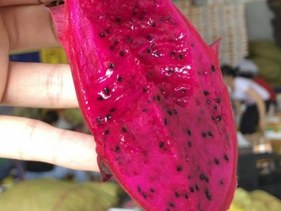 台湾品种佳年软枝红心火龙果新鲜水果非金都火龙果肉厚皮薄包甜图2