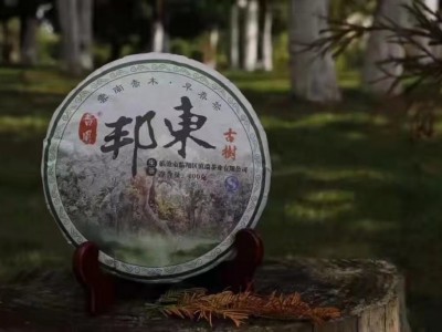 云南临沧产地普洱生产厂家批发东古树普洱生茶图2