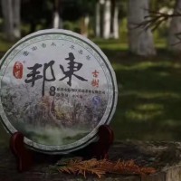 云南临沧产地普洱生产厂家批发东古树普洱生茶
