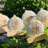 原产地临沧普洱茶生茶套系产品厂家 丶茶、生、天、地、間