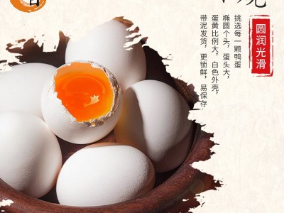 旭日生咸蛋北部湾流油海鸭蛋160枚整箱一件代发图3