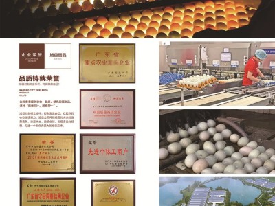 批发松花蛋皮蛋非红树林四川皮蛋咸皮蛋18枚松花皮蛋礼盒图5