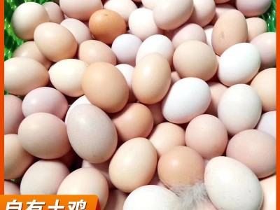 安徽土鸡蛋大码1斤10个左右 420枚整箱批发 新鲜农家草鸡蛋笨鸡蛋图3