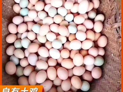 安徽土鸡蛋中码1斤11个左右整箱420枚批发 农家草鸡蛋笨鸡蛋图3