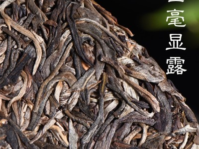 普洱茶生茶 2015年班章生态茶 357克 一口料压制 原产地厂家批发图3