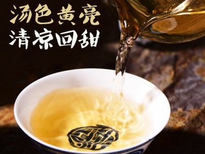 普洱茶生茶 2016年冰岛坝歪春茶小龙珠 纯手工 快捷便携 厂家批发图4