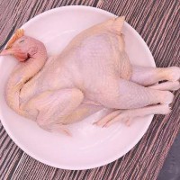新鲜现货定制加工批发冰鲜冷冻清远鸡白切鸡烧鸡火焰鸡白条鸡
