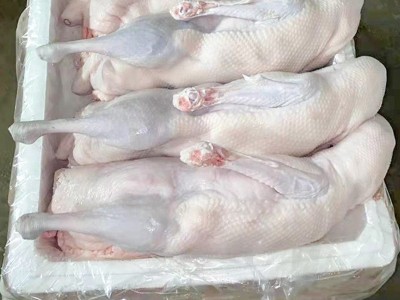 供应新食材烧腊原材料广东黑棕鹅厂家直销二光鹅批发10只起发图3