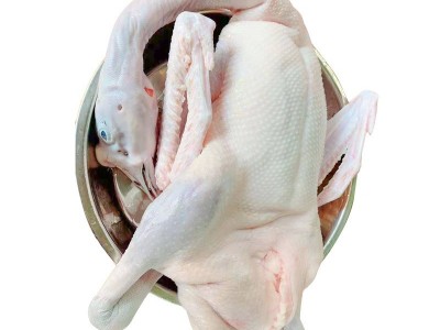 供应新食材烧腊原材料广东黑棕鹅厂家直销二光鹅批发10只起发图2