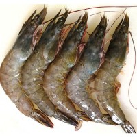 批发泰国活虾海上直冻 南美大白虾每盒3斤 新鲜水产海鲜大虾