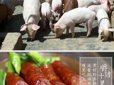 无锡腊肠特产腊肠 肉类熟肉类批发定制图2