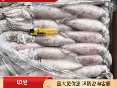 印尼鱿鱼排挡批发酒店档口冷冻图5