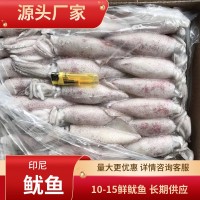 印尼鱿鱼排挡批发酒店档口冷冻