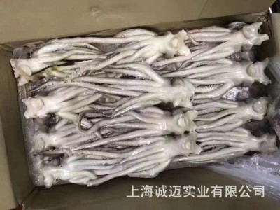 带头鱿鱼须批发，适合中西餐、海鲜日料自助图3