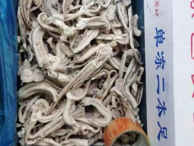 带头鱿鱼须批发，适合中西餐、海鲜日料自助图4